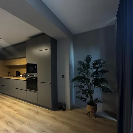 Moni House Apartment