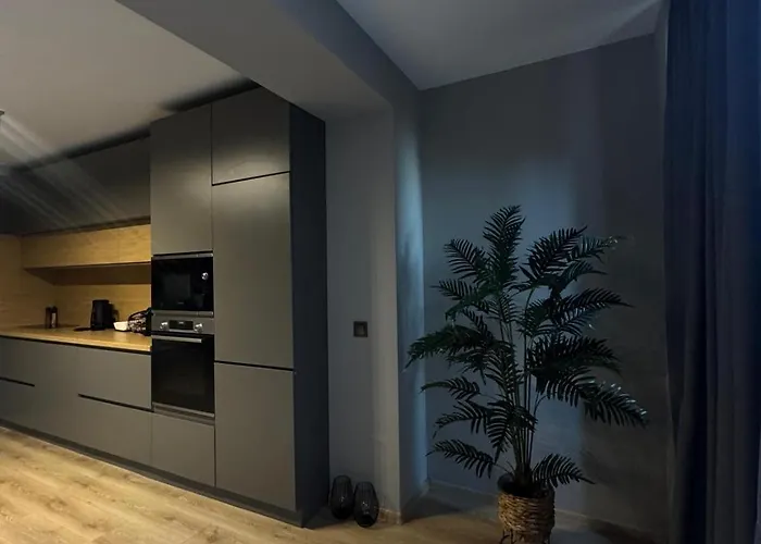 Moni House Apartment